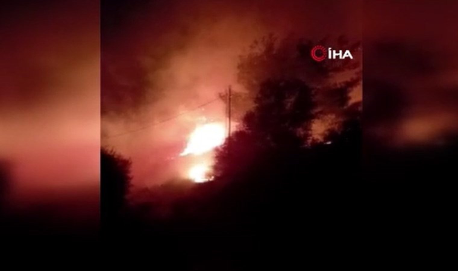 Ayvalık’ta orman yangını: Ekipler müdahale ediyor