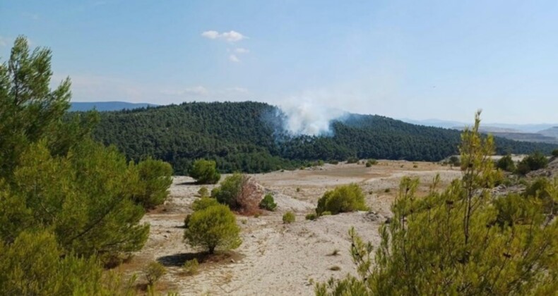 Balıkesir’de iki ilçede orman yangını!