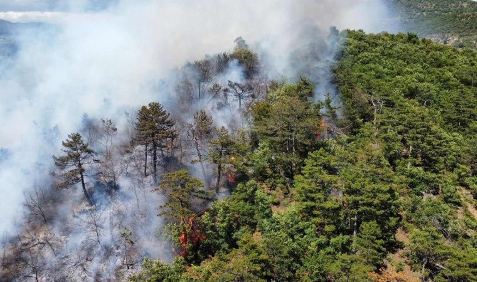 Balıkesir’de orman yangını