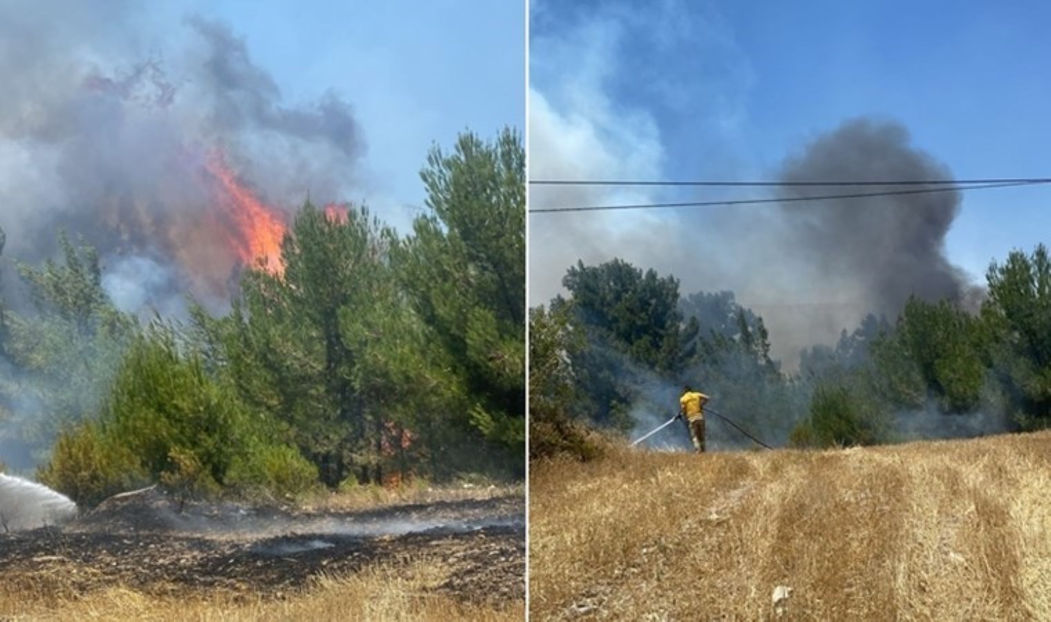 Balıkesir’de orman yangını: Ekipler müdahale ediyor!