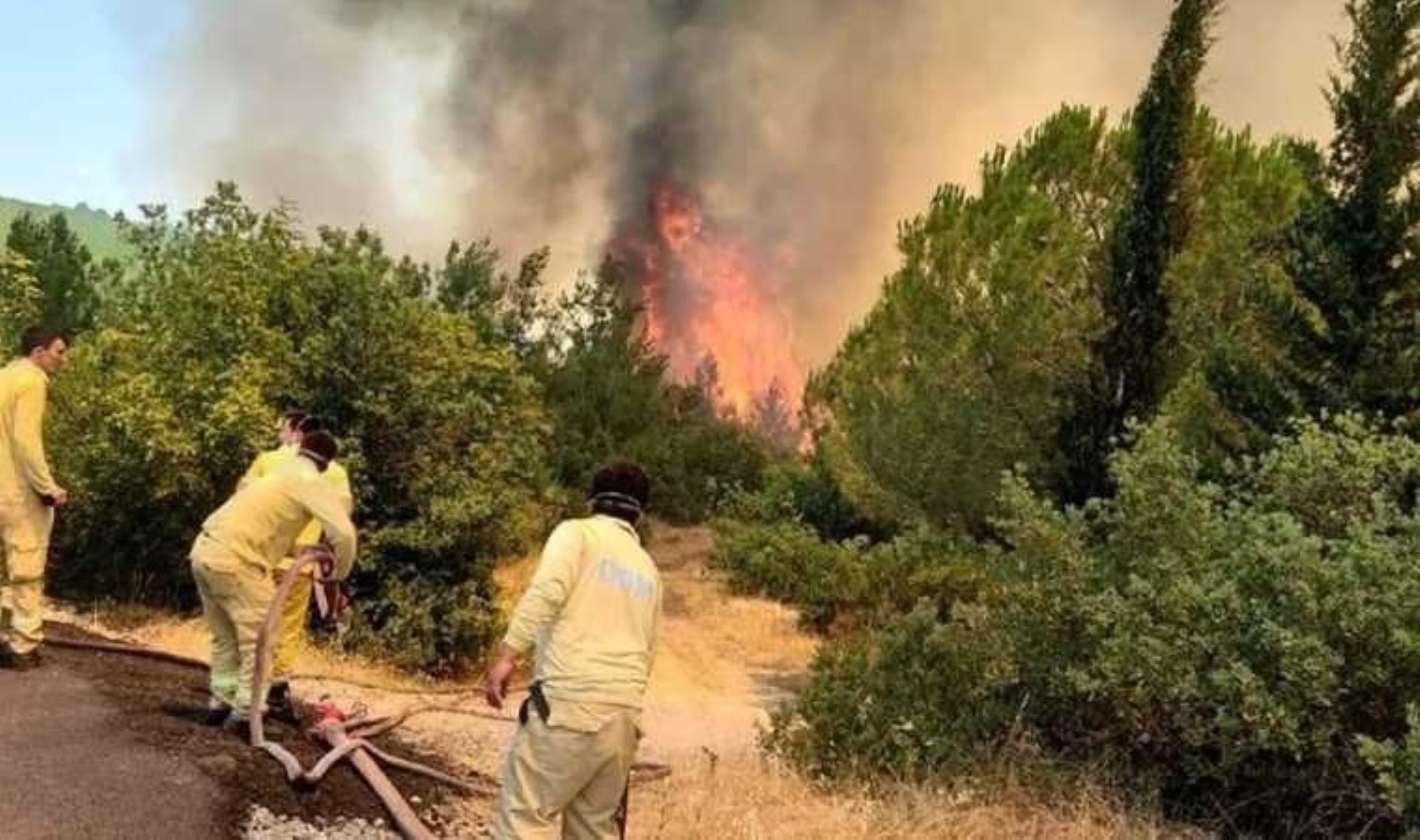 Balıkesir’de orman yangını