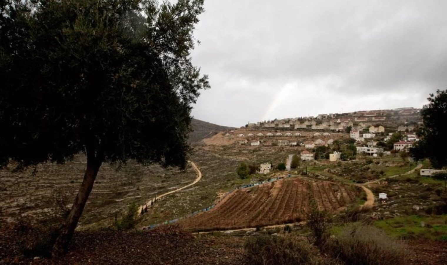 Batı Şeria’da Filistinlilere ait yüzlerce dönüm araziye el konuldu
