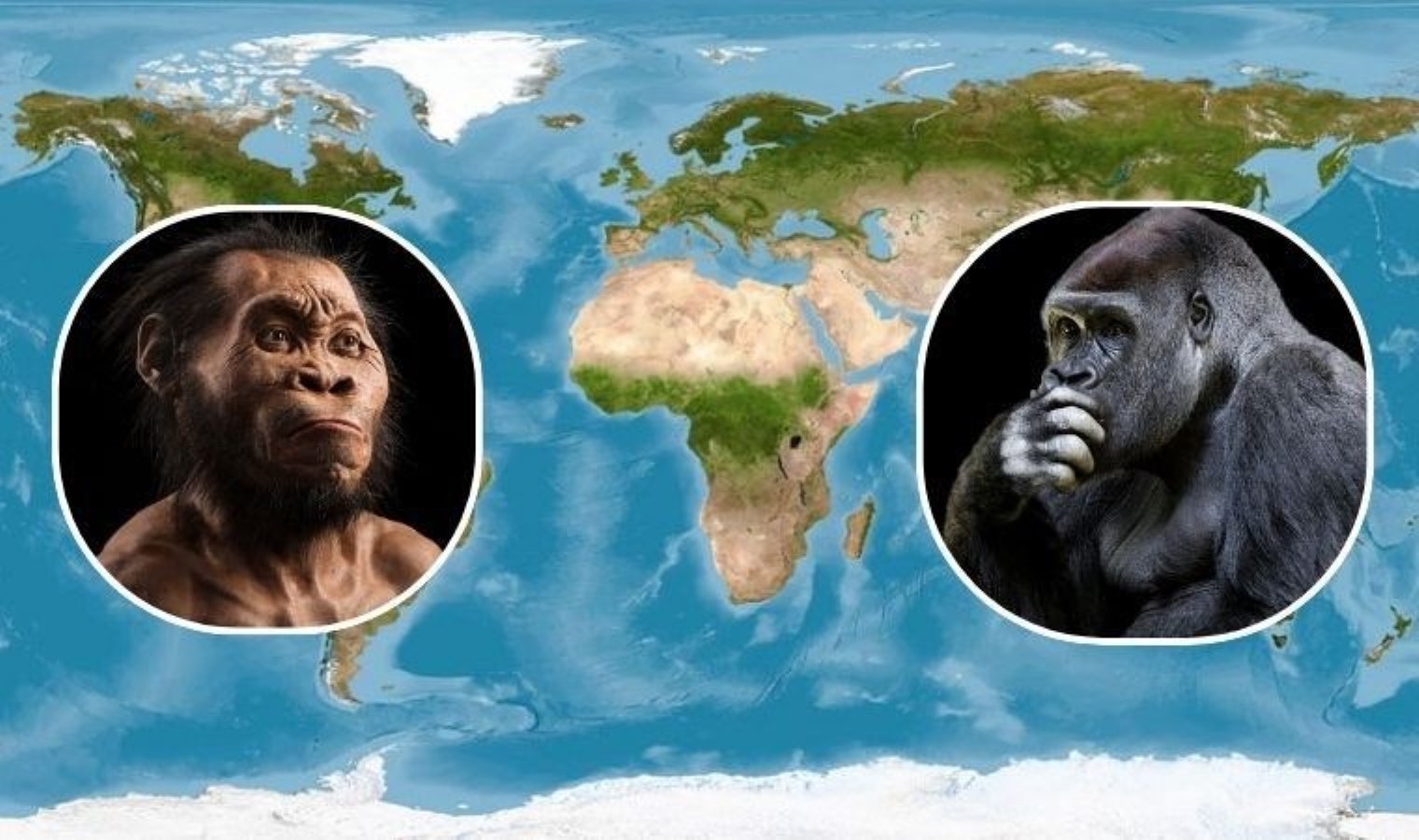 Bilim insanları yanıtladı: İnsanlığın doğum yeri neresi?