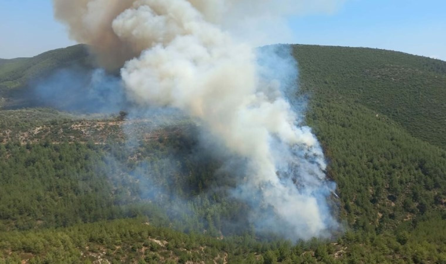 Bodrum’da orman yangını!