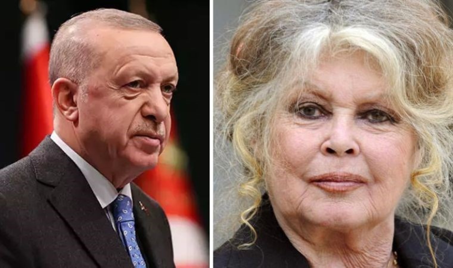 Brigitte Bardot’dan Erdoğan’a çağrı: “Sokak hayvanları için felaketin eşiğindeyiz”