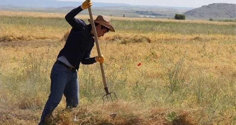 Çiftçinin yüzü gülmüyor! Hububatta rekolte düştü