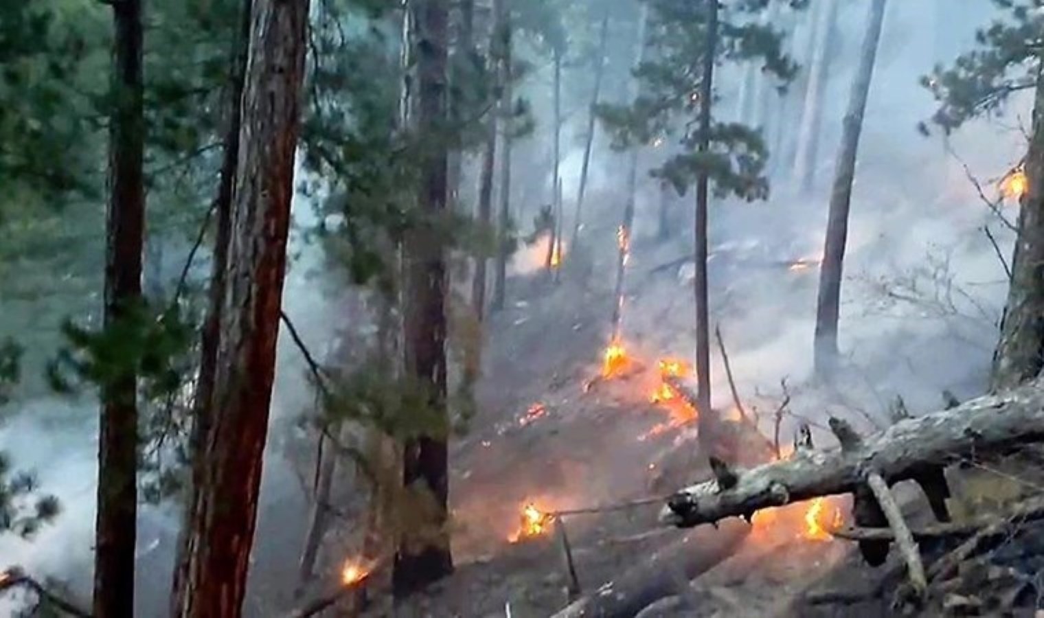 Denizli’deki orman yangını 17 saatte kontrol altına alındı