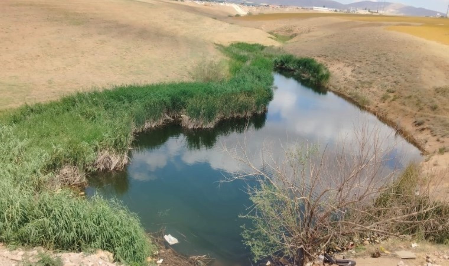 Dere kenarına bırakılan bazayı açtı, battaniyeye sarılı ceset buldular!
