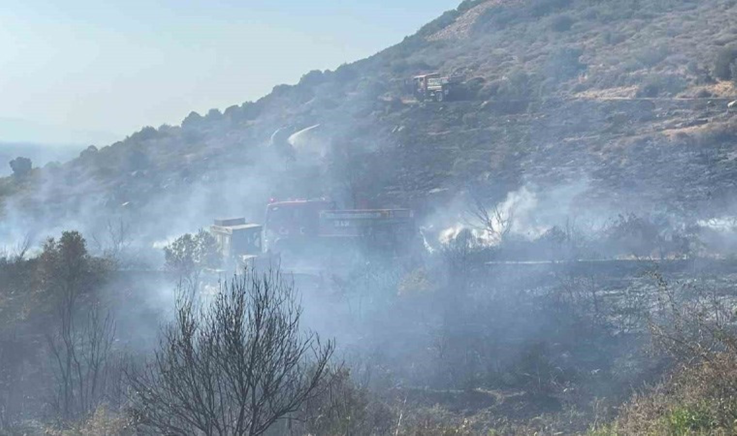 Foça’daki orman yangının sebebi belli oldu