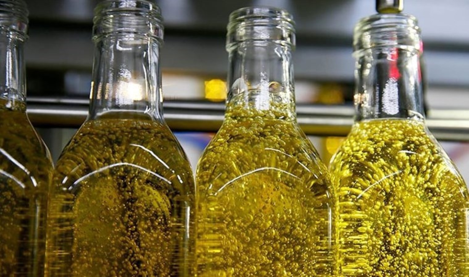 Gaziantep’te ‘sahte zeytin’ yağı üreten işletmeye ceza