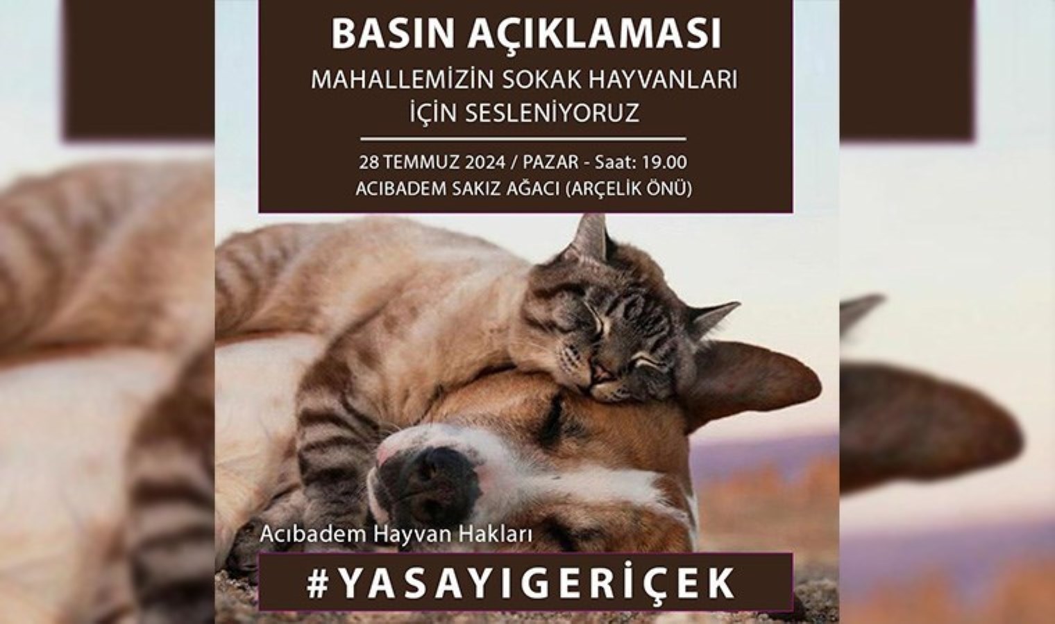 Hayvanseverler ‘mahallelerindeki sokak hayvanları’ için seslenecek