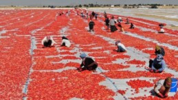 İtalyanların pizza sosu Diyarbakır’dan: Önce tuzlanıyor sonra 10 gün boyunca güneşin altında bekletiliyor…