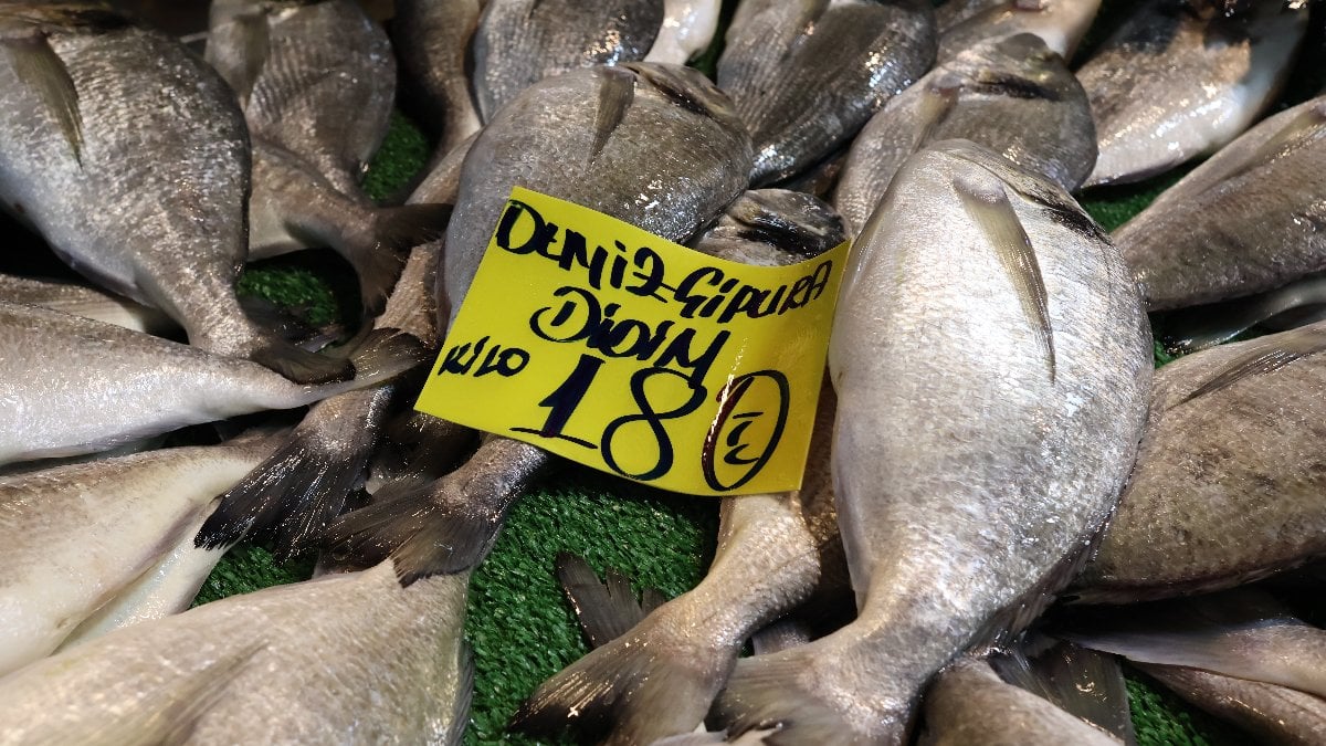 İzmir’de balık var, alan yok