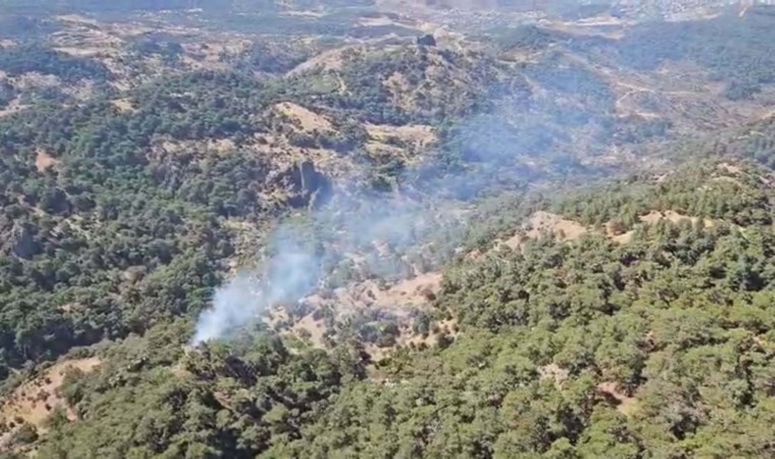 İzmir’de orman yangını: 3 saatte kontrol altına alındı