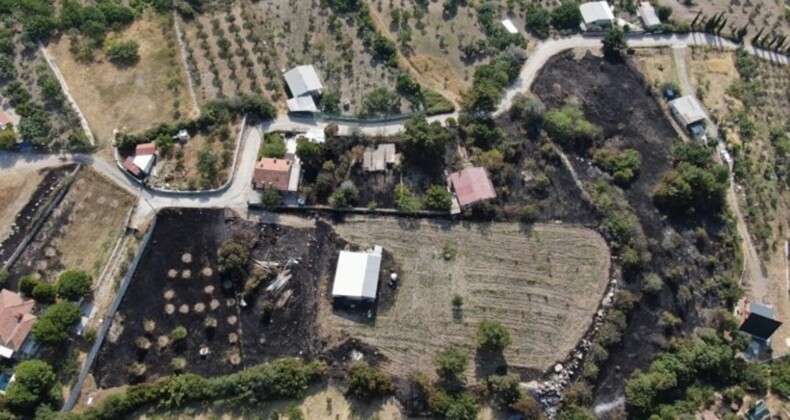 İzmir’deki yangının hasarı gün ağarınca ortaya çıktı