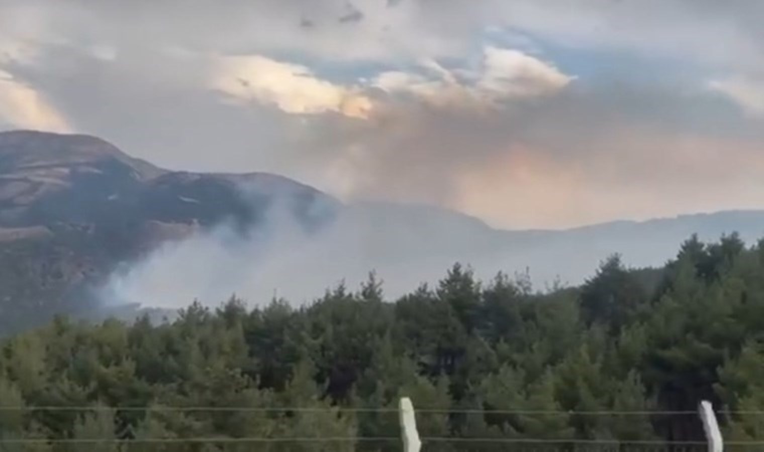 Kahramanmaraş’ta orman yangını