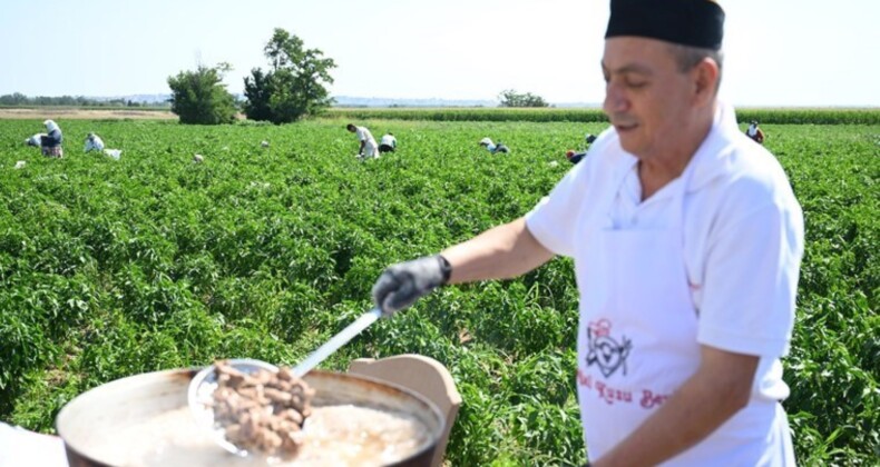 Karaağaç’ta hasat geç başladı: Edirne tava ciğerinin lezzet ortağı…