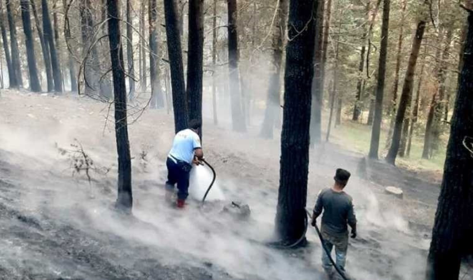 Kars’ta ormanlık alanlara girişler 15 Ekim’e kadar yasaklandı