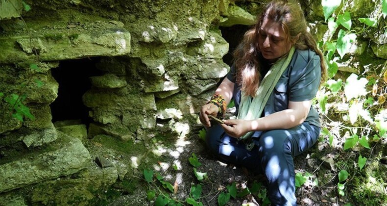 Kastamonu’da 2 bin 300 yıl öncesine ait seramik parçaları bulundu