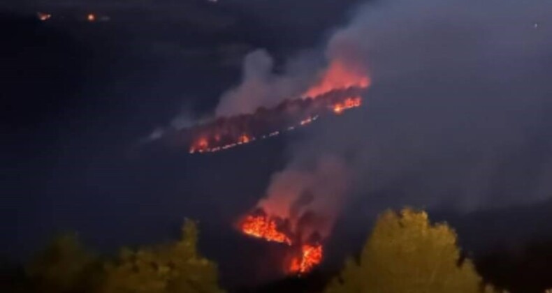 Kastamonu’da iki farklı noktada orman yangını