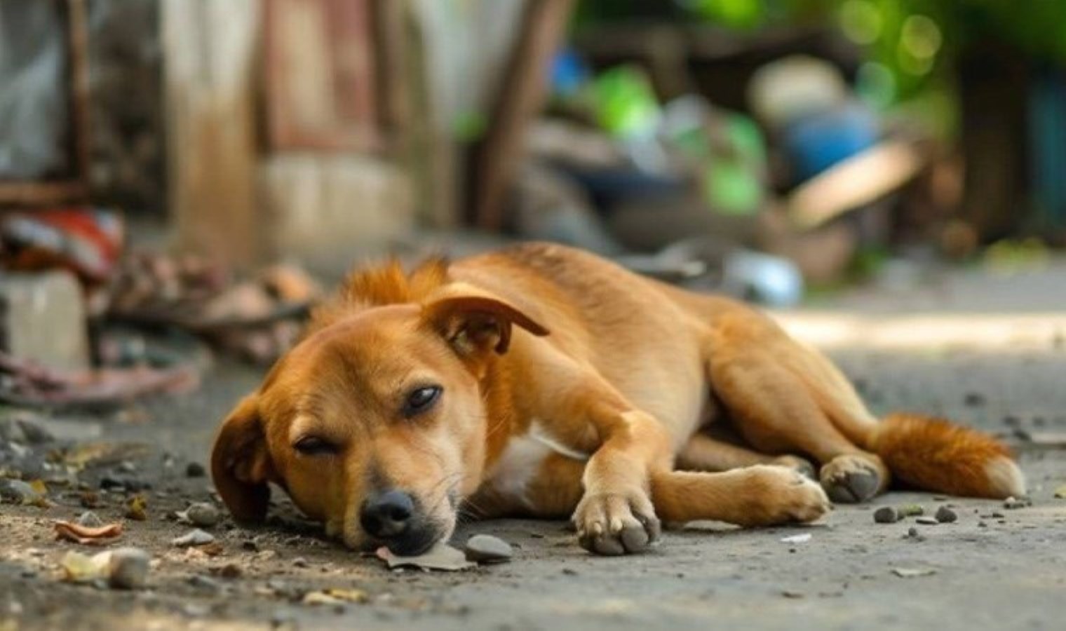 ‘Katliam yasası’ 1 Ağustos’a kadar görüşülecek