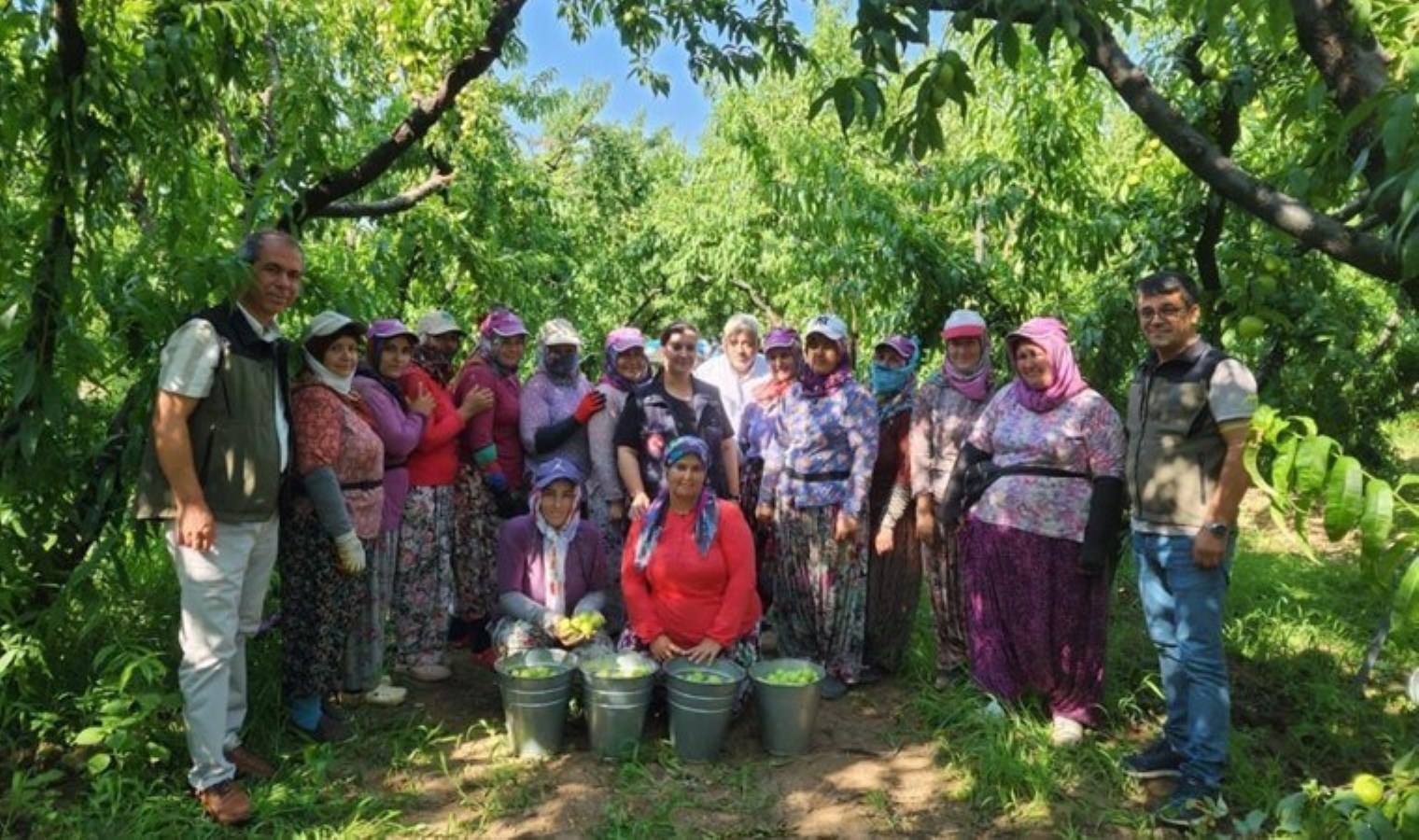 Kazdağları’nın endemik meyvesinde hasat başladı: 20 bin ton üretim bekleniyor