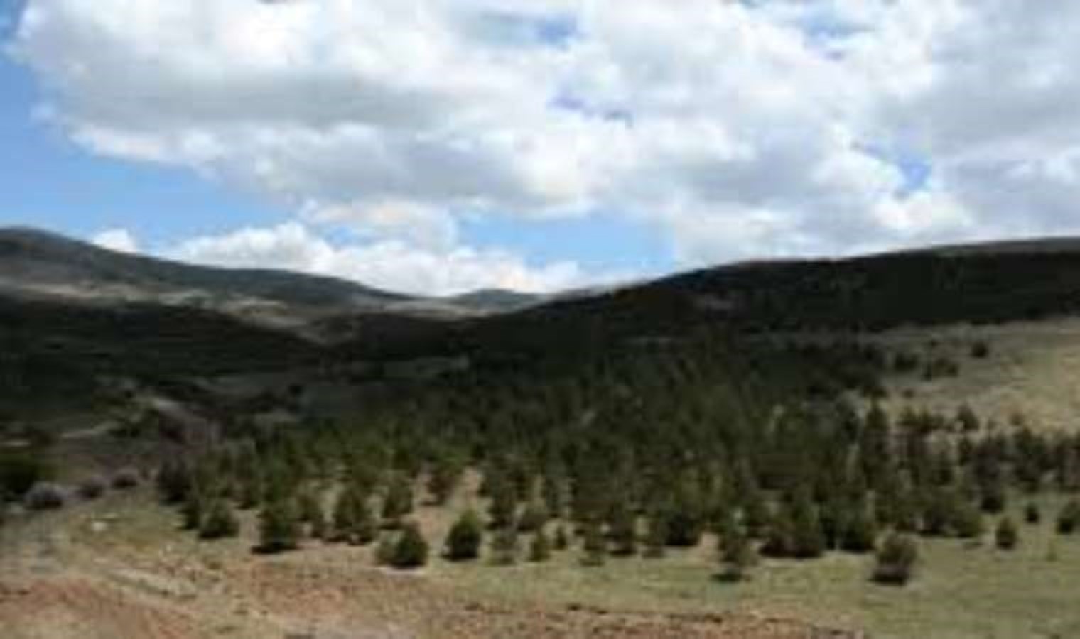 Kırşehir Belediye Başkanı Ekicioğlu: ‘Bu maden Kırşehir’i yok etmenin altyapısıdır’