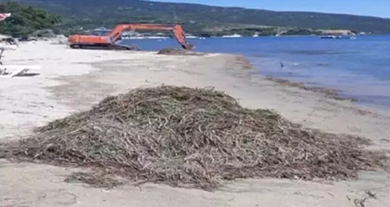 Koruma altındaki deniz çayırlarını söken kepçe operatörüne 13 bin TL ceza