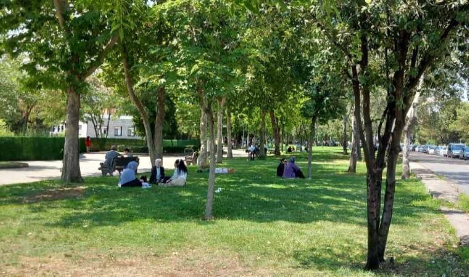 KPSS’nin ardından ağacın altında dinleniyordu: Başına yorgun mermi isabet etti!