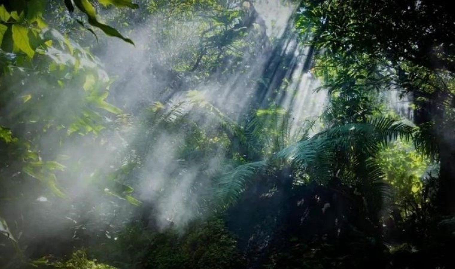 Medeniyetlerin tarihi değişiyor: Tarihin bilinmeyen yüzü ortaya çıktı