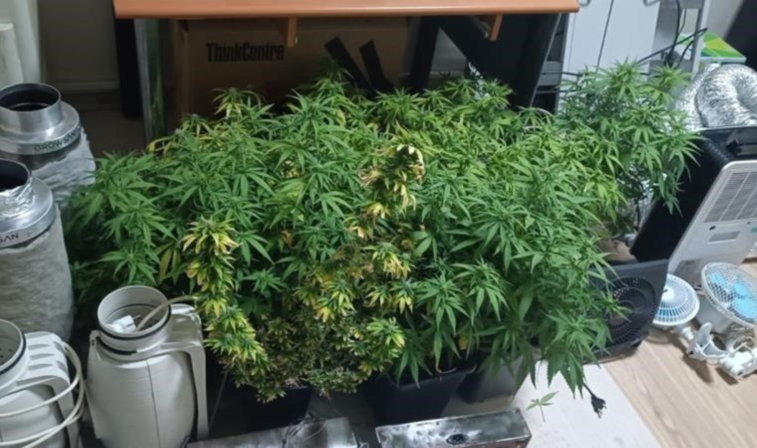 Mersin’de uyuşturucu tacirlerine operasyon: 19 gözaltı