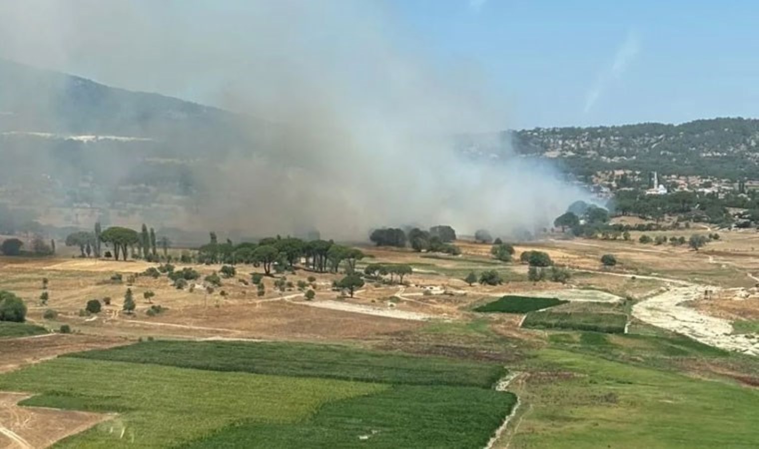 Milas’ta bir orman yangını daha