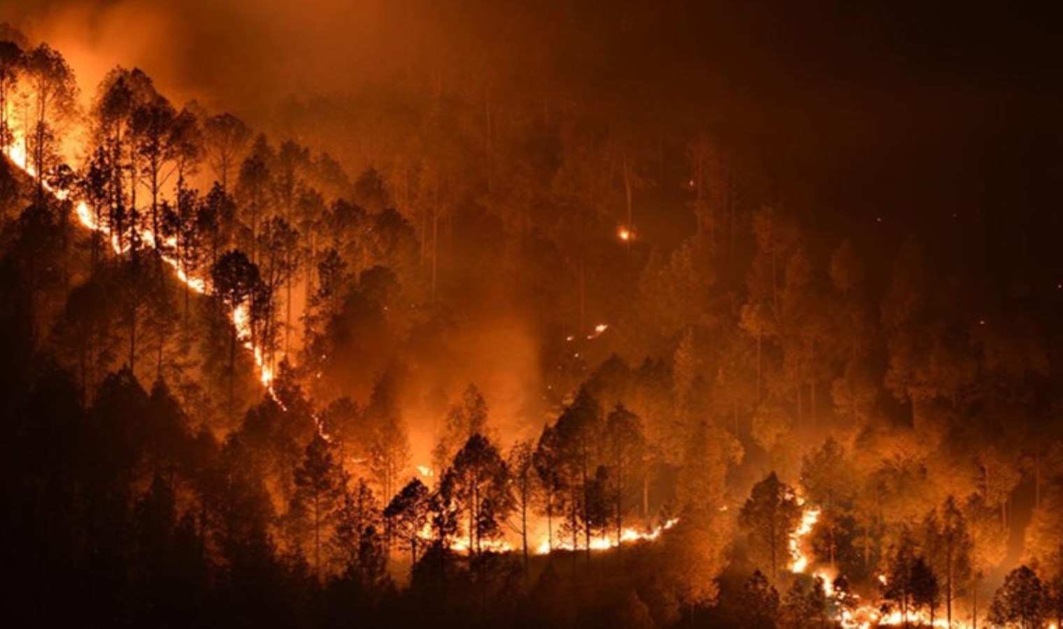 Muğla’da 7 ayda 178 yangın meydana geldi