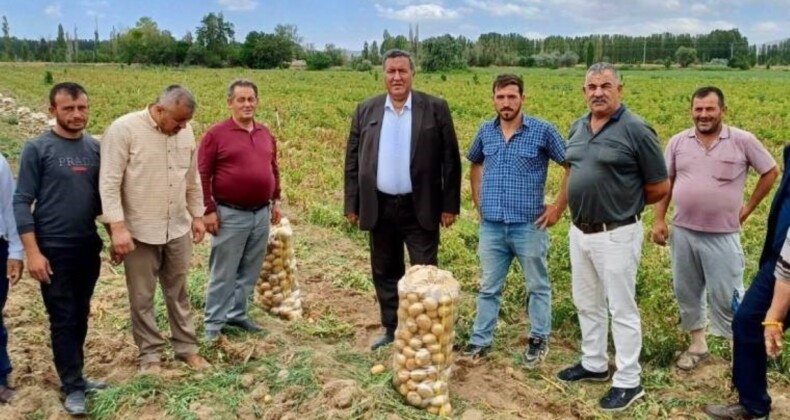 Ömer Fethi Gürer: Patatesler, maliyetinden dolayı tarlada kalıyor