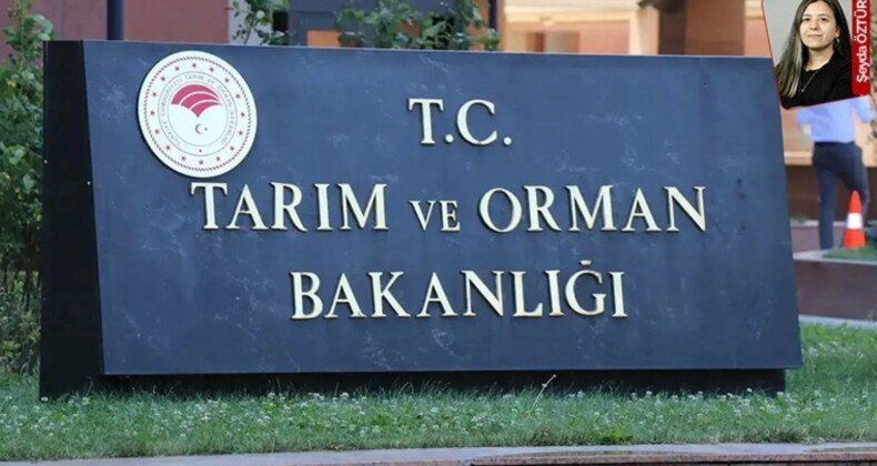 Önce orman alanına maden ocağı açmak için izni aldılar, şimdi kapasiteyi artıracaklar