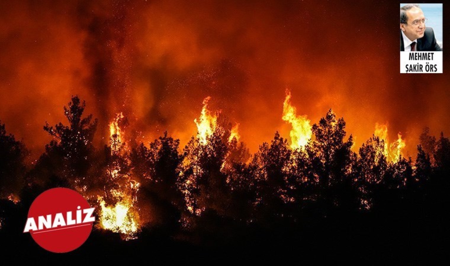 Ormanların ‘imdat’ çığlığı