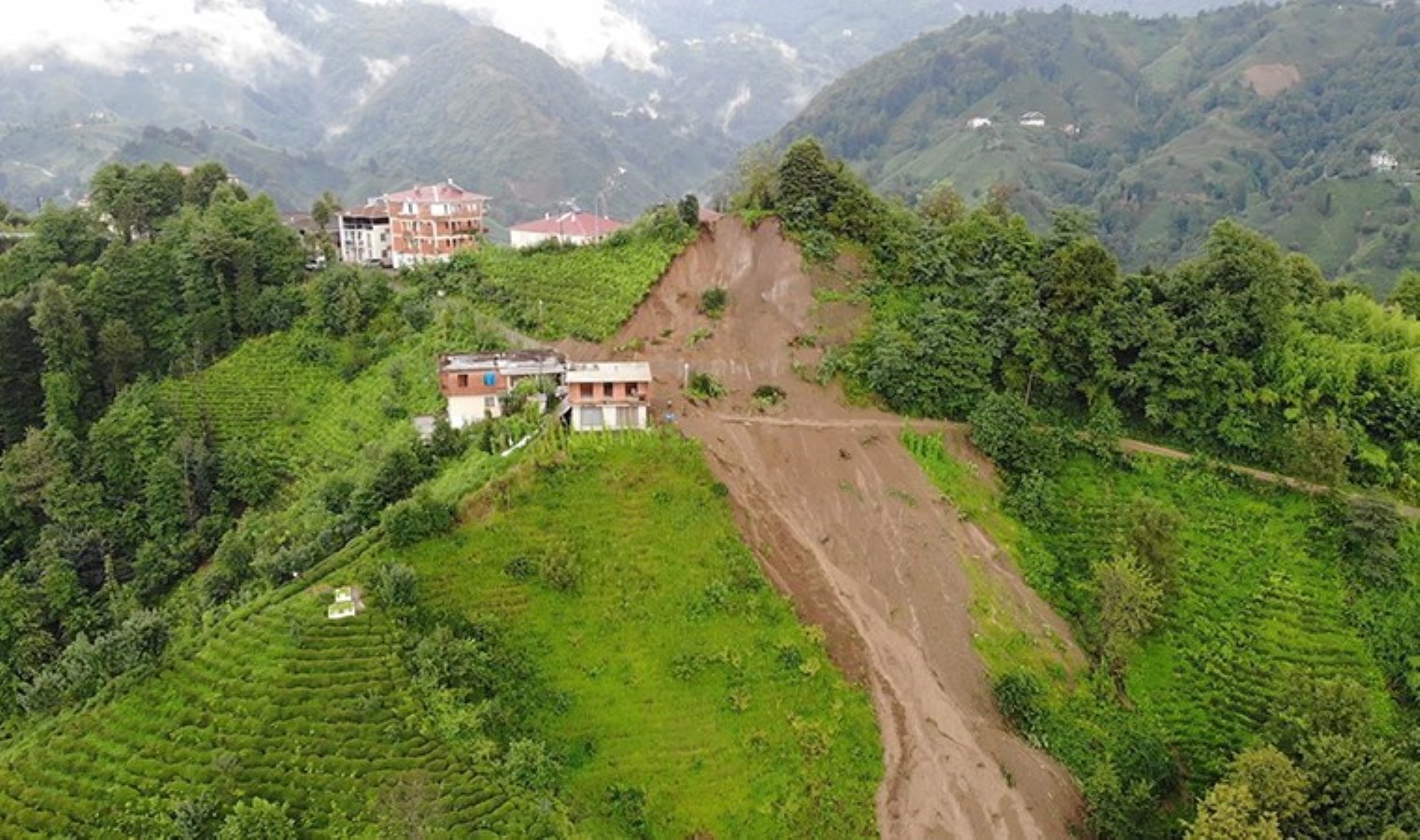 Profesör uyardı: Çay bahçelerinde ‘pasif drenaj’ heyelanları tetikliyor