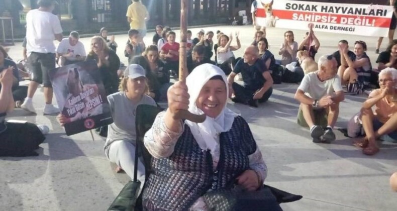 Samsun’da yaşam hakkı savunucuları, sokak hayvanlarıyla ilgili kanun teklifinin geri çekilmesi için oturma eylemi yaptı