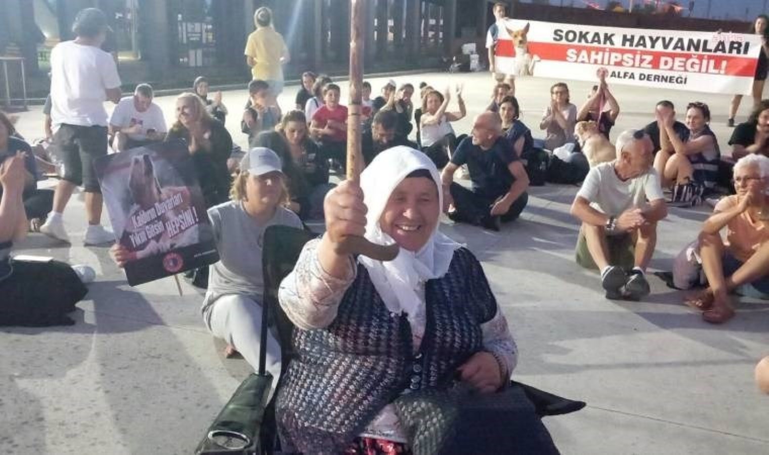 Samsun’da yaşam hakkı savunucuları, sokak hayvanlarıyla ilgili kanun teklifinin geri çekilmesi için oturma eylemi yaptı