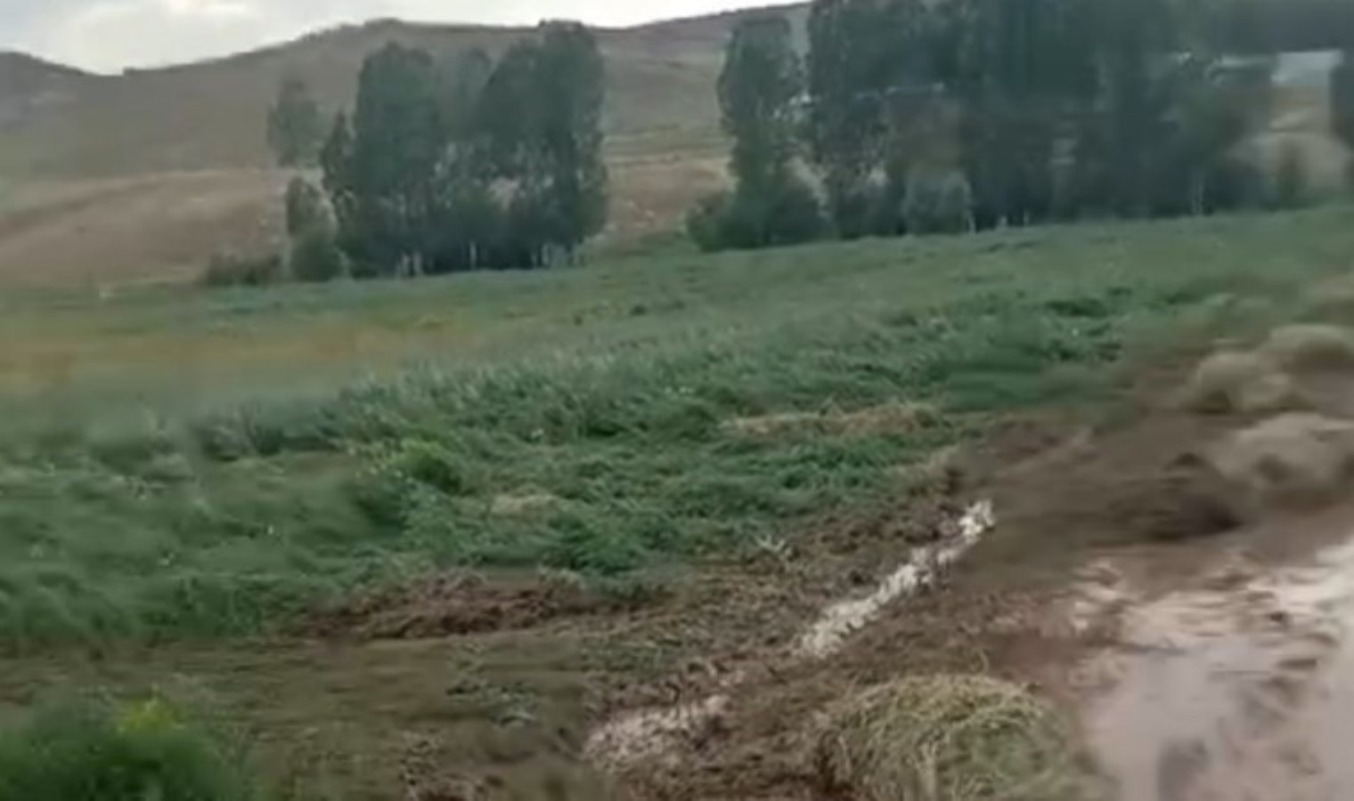 Saray’da sel: Ekili alanlar zarar gördü