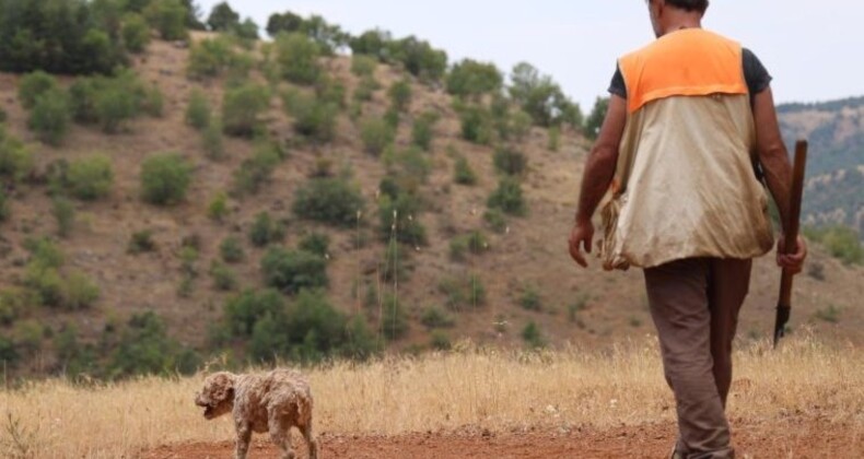 Şehir şehir gezerek ‘kara elmas’ arıyor: Köpeği buluyor, kendisi satıyor! Dünyanın en pahalısı…