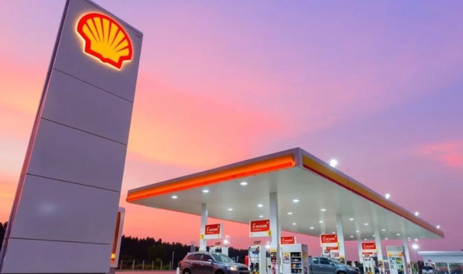 Shell, Hollanda’daki biyoyakıt tesisi inşaatını geçici olarak durdurma kararı aldı