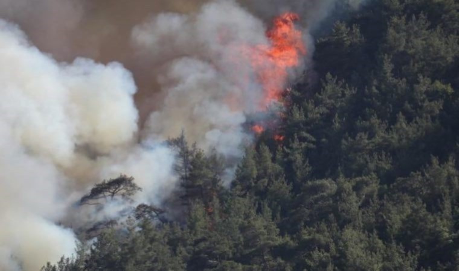Sıcaklıklar yükseliyor, yangın riski artıyor: İPA Başkanı Gökce’den 8 maddelik uyarı!
