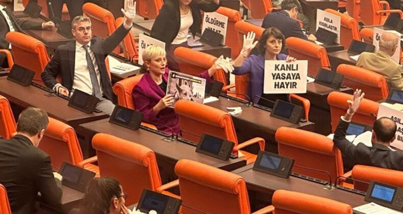 Sokak köpeklerine ilişkin yasa teklifi TBMM Genel Kurulu’na geldi, muhalefet direniyor