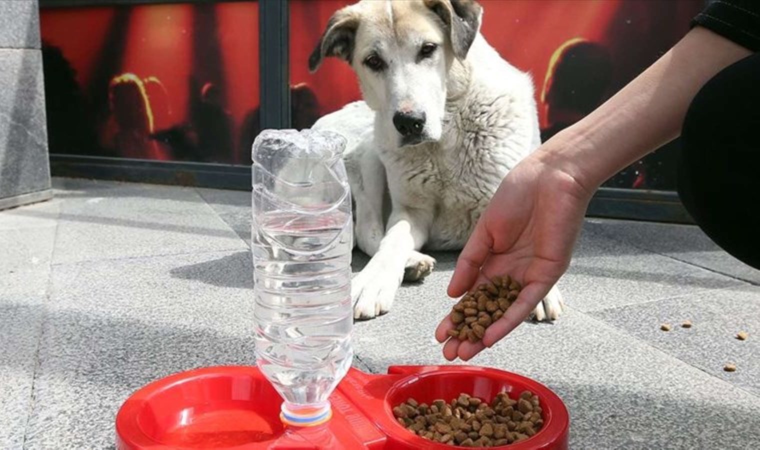 Son Dakika… ‘Katliam yasası’ komisyonda kabul edildi!