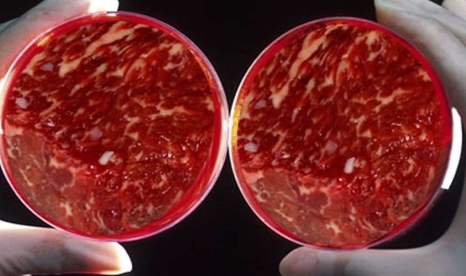 Son kez tatma partisi yapıldı… Yapay ete yasak geliyor