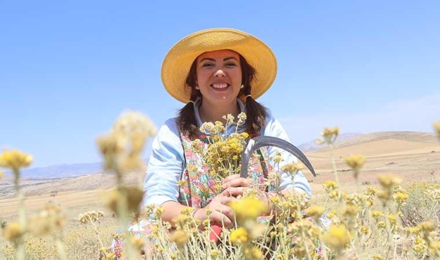 Susuz tarımla üretiliyor, çiftçinin göz bebeği oldu: Kanser ve AIDS tedavisinde kullanılıyor…