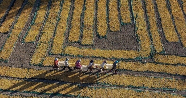 Tarımsal girdi maliyetleri bir yılda yüzde 53 arttı