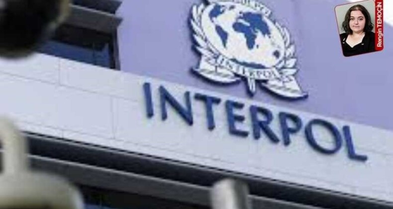 Türkiye Cumhuriyeti kimliği alacaklara Interpol şartı aranacağı açıklandı