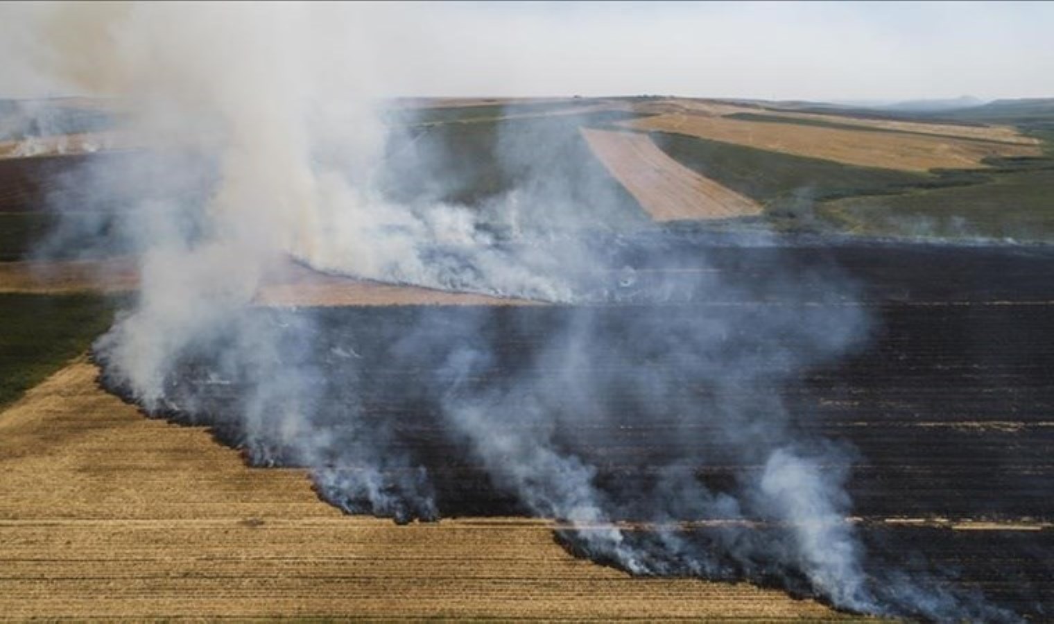 TZOB Başkanı Bayraktar’dan çiftçilere uyarı